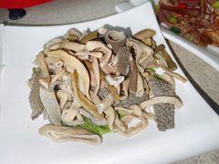 -墨脱石锅椰子鸡•香草鸭•东山羊(大东海店)