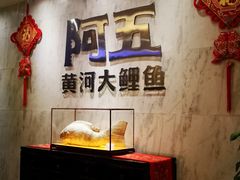 -阿五黄河大鲤鱼(纬三路店)