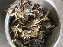 -小象钓虾·营地烧烤(洛溪店)
