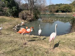 -宁波野生动物园