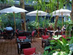 -Fern Forest Cafe