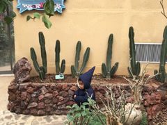 -正佳雨林生态植物园