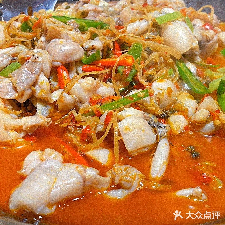 蛙三｜🐸牛蛙爱好者请去打卡吧‼️