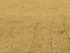 -桃源新村双台子店