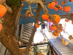 -肖记公安牛肉鱼杂馆· 省级非物质文化遗产(仁和路店)