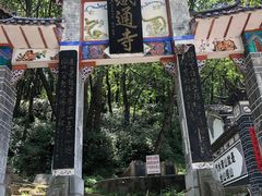 -苍山感通索道