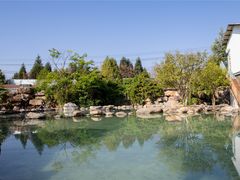-星河温泉小镇