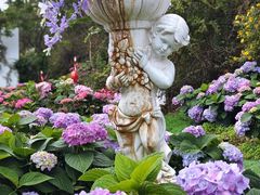 -名花谷生态庄园