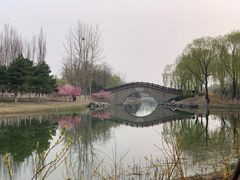 -大兴滨河森林公园