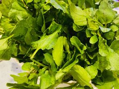 西洋菜-烹然四季椰子鸡火锅(团结湖总店)