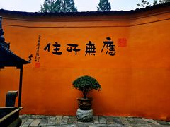 -九华山风景区