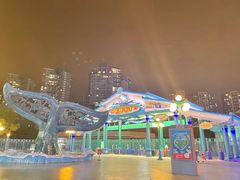 -海合安成都极地海洋公园