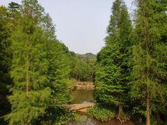 -云溪植物园