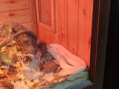 -鄂尔多斯野生动物园