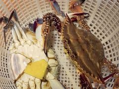 -三个渔夫·蒸汽海鲜(小白楼店)