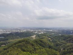 -大屏嶂森林公园