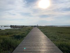 -花湖生态旅游区