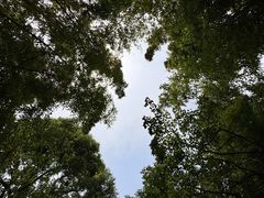 -苏州河梦清园环保主题公园