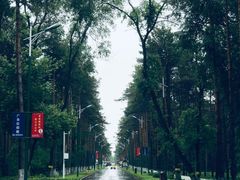 -黑龙江省森林植物园