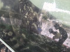 -众味海鲜大排档·活海鲜·潮汕味(南澳店)