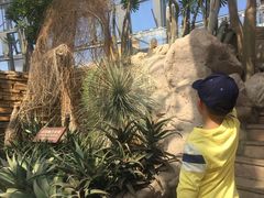 -北京植物园-展览温室
