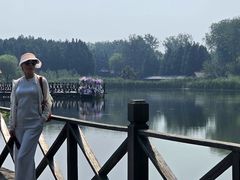 -溱湖国家湿地公园