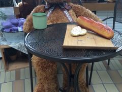 泰迪熊博物馆-济州岛泰迪熊博物馆