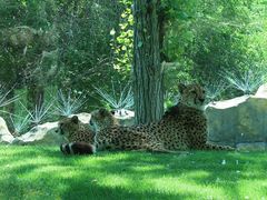 -北京野生动物园