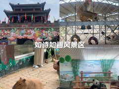 -西霞口神雕山野生动物世界