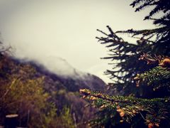 -秦岭风景区