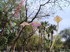 -人民公园(罗湖区)