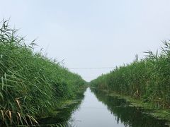 -白洋淀景区