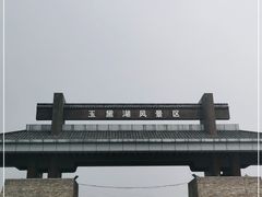 -淄博花灯齐彩城