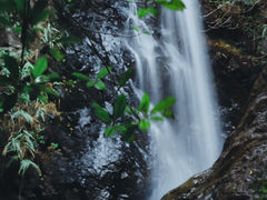 -马峦山郊野公园