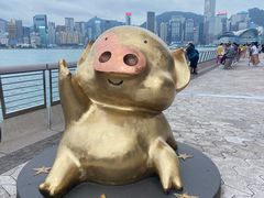 -星光大道