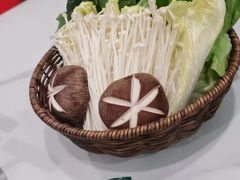 -粉灯牛腩牛杂煲·鸡煲(双井店)