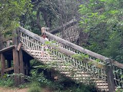 -北京西山国家森林公园