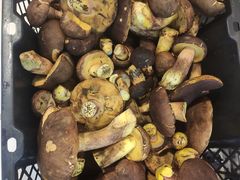 -草墩罗非鱼庄•野生菌•腊排骨(七星街上段店)