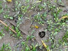 -明珠湖天鹅苑·农家菜馆