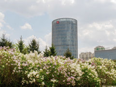 -群力丁香公园