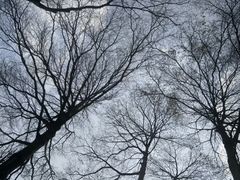 -晓港公园