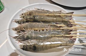 Fresh Live Shrimp