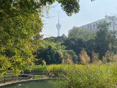 -成都市活水公园
