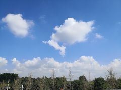 -正兴广场(人民中路店)