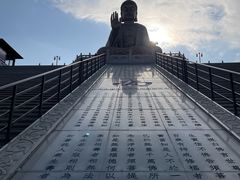-龙口南山旅游景区