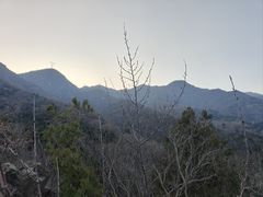 -阳台山自然风景区