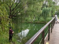 -金鸡湖景区