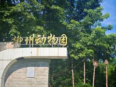 -柳州市动物园