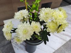 -南堂馆·新川菜(天府三街店)