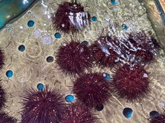 -天天渔港(杏林街店)